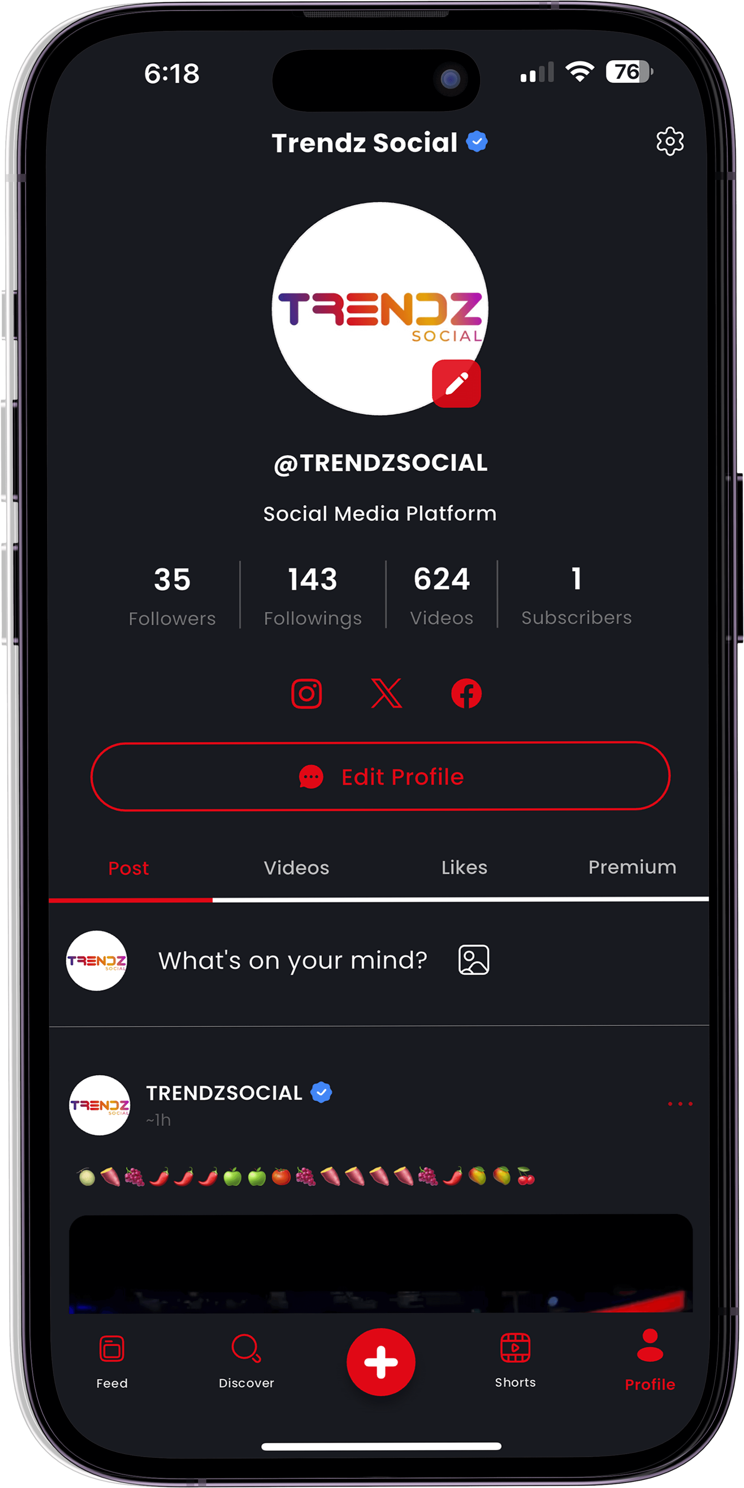 Your Voice, Your Language
